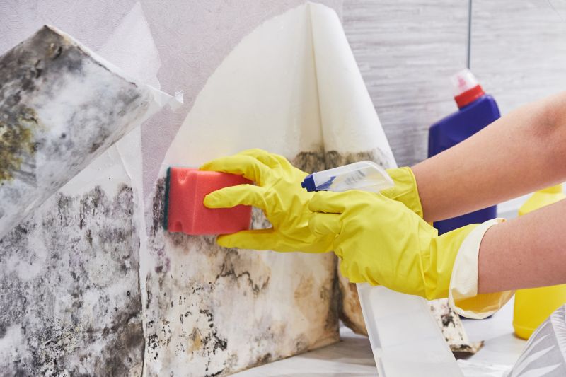 Attic Mold Remediation in Boca Raton, FL
