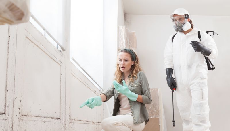 Attic Mold Remediation in Fort Worth, TX