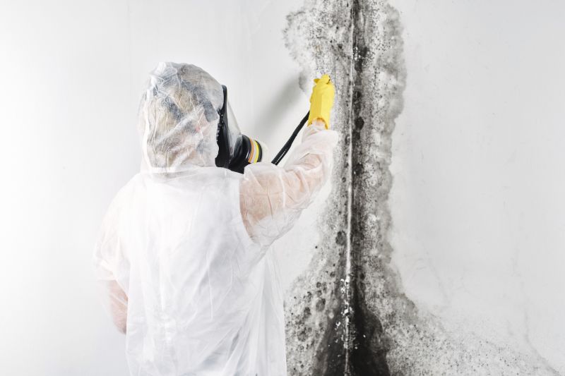 Attic Mold Removal in Bergen County, NJ