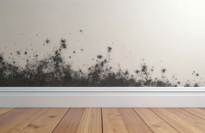 Basement Mold Remediation in Jupiter, FL