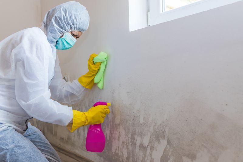Basement Mold Remediation in Fort Worth, TX