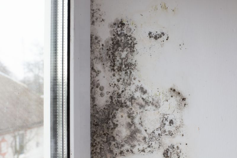 Basement Mold Removal in Jupiter, FL