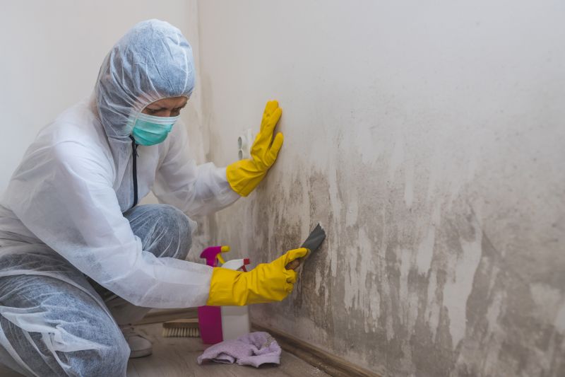 Basement Mold Removal in Frisco, TX