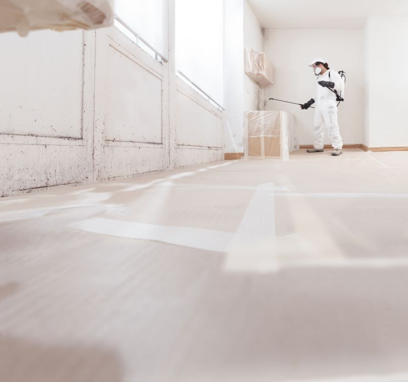 Black Mold Remediation in Frisco, TX