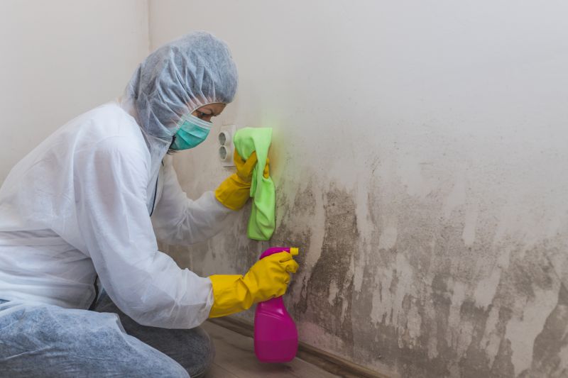 Black Mold Remediation in Essex County, NJ
