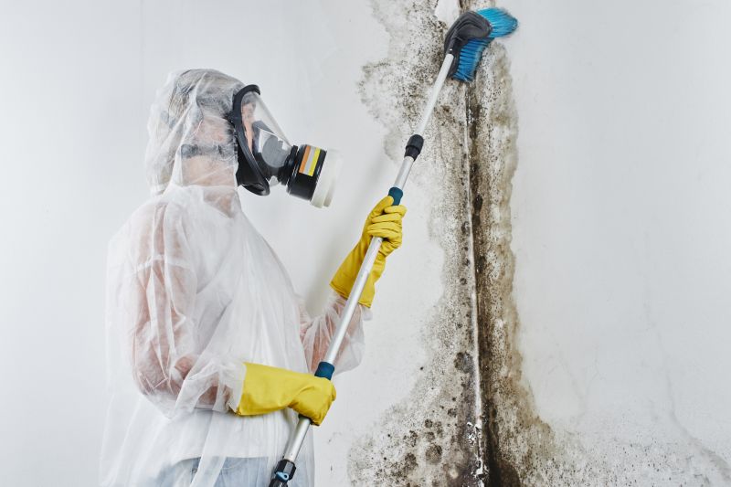 Black Mold Remediation in Broward County, FL
