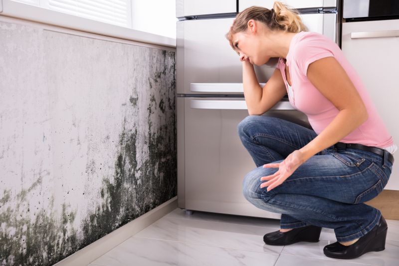 Black Mold Removal in Jupiter, FL
