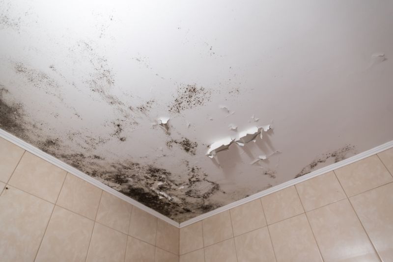 Ceiling Mold Removal in Bergen County, NJ