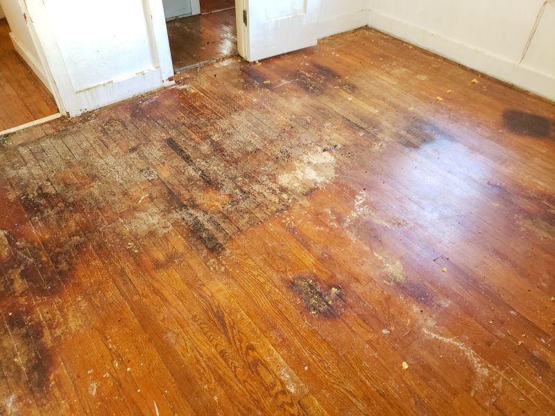 Stain and Damage Restoration