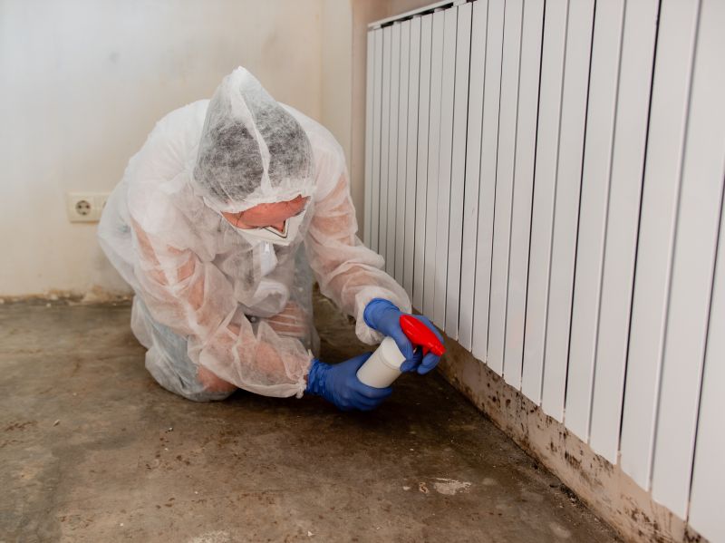 Crawl Space Mold Removal in Bergen County, NJ