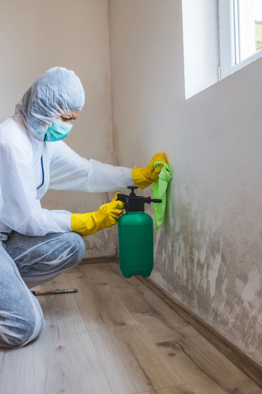 Crawlspace Mold Remediation in Dallas, TX