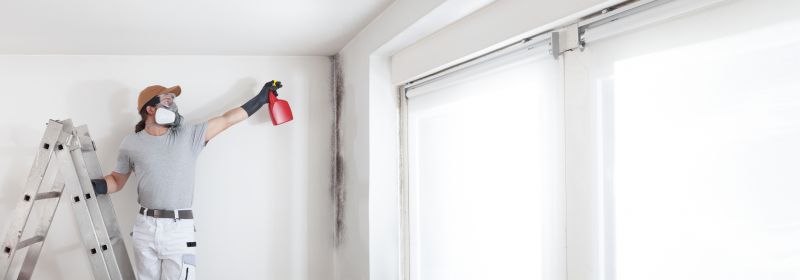 Garage Mold Remediation in Broward County, FL