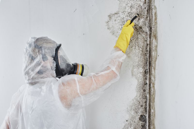 Mold Abatement in Essex County, NJ