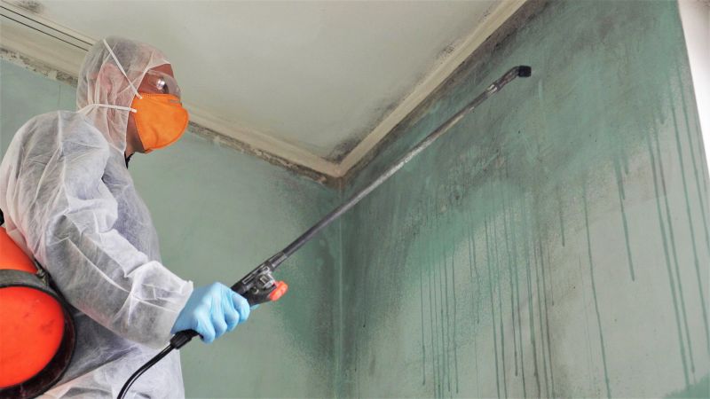 Mold Abatement Service in Essex County, NJ