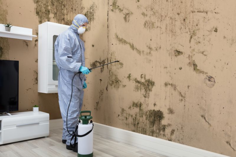 Mold Detection in Boca Raton, FL