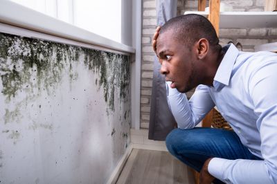 Mold Inspection And Removal in Plano, TX