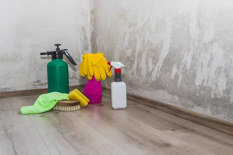 Mold Remediation Service in Bergen County, NJ