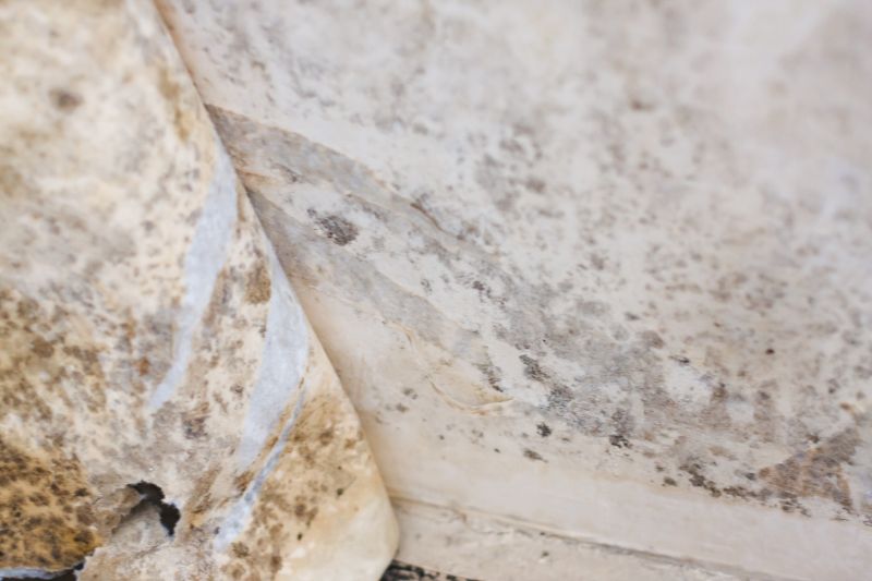 White Mold Mitigation in Fort Lauderdale, FL