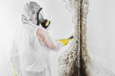 Mold Remediation Service in Dallas, TX